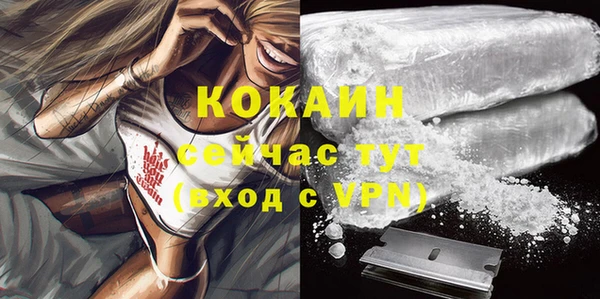 первитин Михайлов