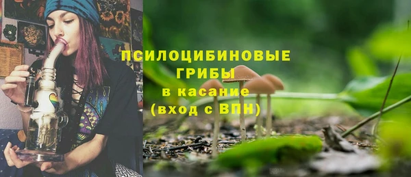2c-b Михайловка